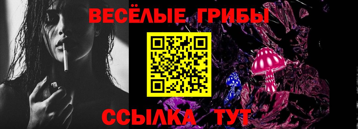 Орёл  Галлюциногенные грибы GOLDEN TEACHER  наркота  Галлюциногенные грибы Psilocybe  Вход с VPN 
